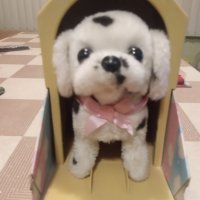 Интерактивно кученце с къщичка , снимка 1 - Музикални играчки - 39446701