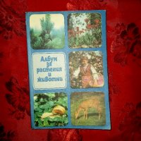 Албум за растения и животни - Николай Боев, снимка 1 - Енциклопедии, справочници - 38192794