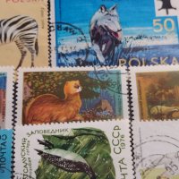 Лот Пощенски марки смесени серий ЖИВОТНИ от цял свят за КОЛЕКЦИЯ 22629, снимка 3 - Филателия - 40364741