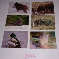 Стари календарчета от 1987г., 2011 г., 2013 г. и 2015 г. с животни, птици и риби, снимка 5 - Колекции - 31731702