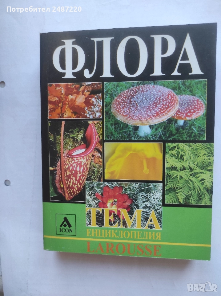 Енциклопедия Larousse Тема: Флора ICON 2005 г меки корици , снимка 1