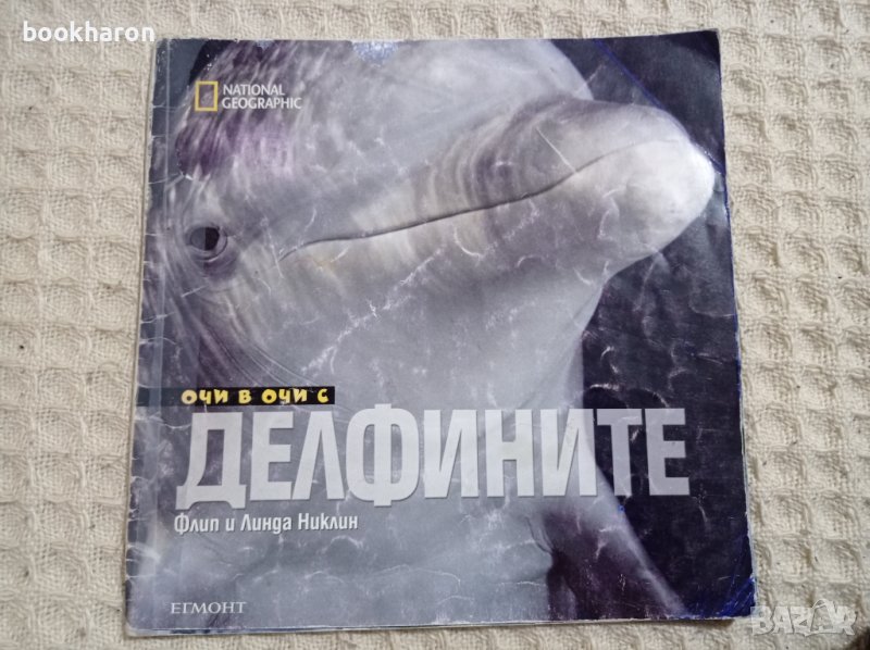 Очи в очи с делфините, снимка 1