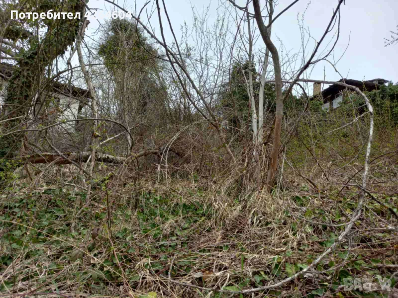 Почистване на дворове, снимка 1