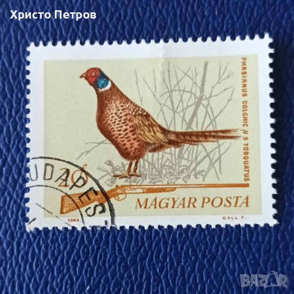УНГАРИЯ 1964 - ФАУНА, ФАЗАН, снимка 1