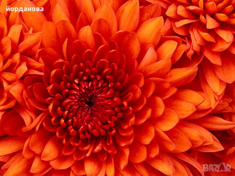 За  ВТУ разработени  теми за държавен изпит ПНУП, снимка 1