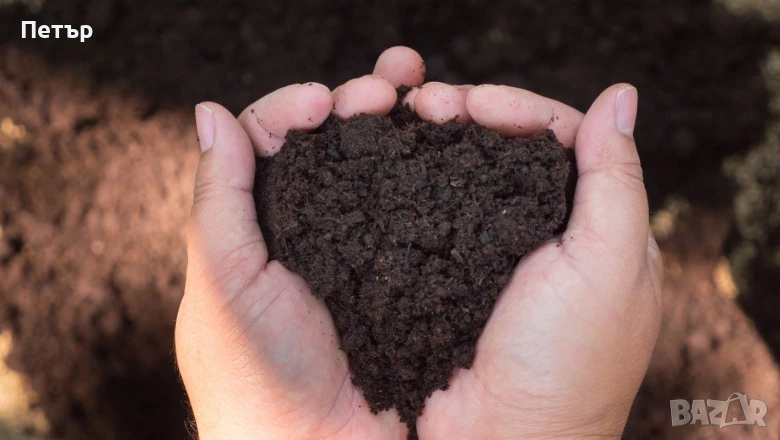 Компост Хумус подобрява почвата в градината , снимка 1