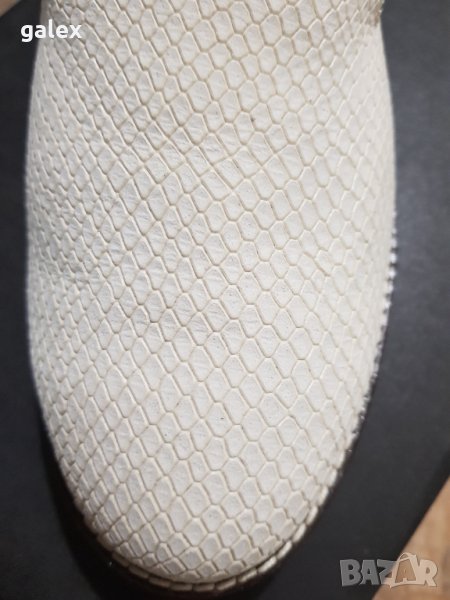 НовиZign, снимка 1