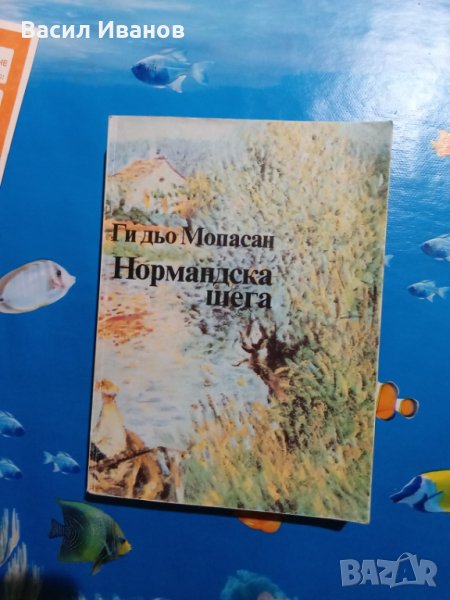 Продавам книга Нормандска шега, снимка 1