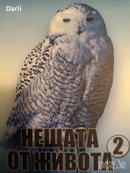 Нещата от живота. Книга 2, снимка 1