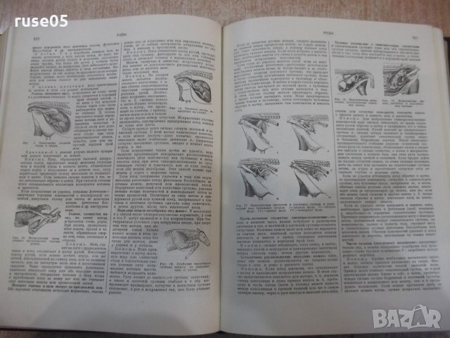 Книга "Ветерин.энциклоп.словарь-том2-К.И.Скрябин" - 696 стр., снимка 5 - Енциклопедии, справочници - 34398702