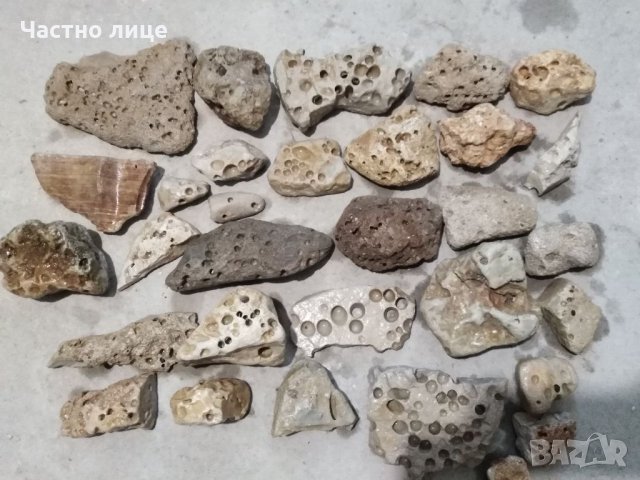 Камъни за декорация на Аквариума , снимка 6 - Аквариуми - 32027317