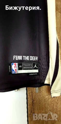 Giannis Antetokounmpo Jordan All-Star , снимка 3 - Спортни дрехи, екипи - 50923573