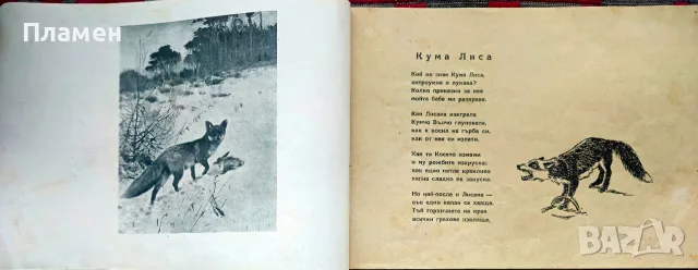Горски животни Ценко Цветанов /1945/, снимка 2 - Антикварни и старинни предмети - 56167696