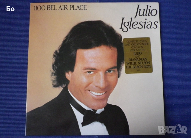 грамофонни плочи Julio Iglesias, снимка 12 - Грамофонни плочи - 41393371