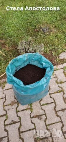 🌿 Силата на природата в чист вид – Биотор от Калифорнийски Червей 🌿, снимка 3 - Стайни растения - 53888638