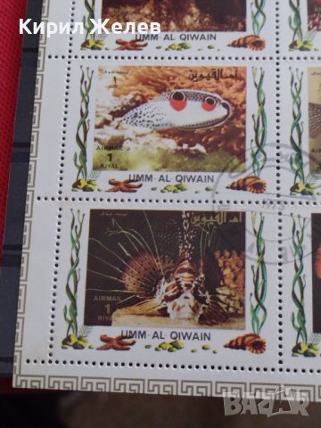 Пощенски марки серия ТРОПИЧЕСКИ РИБИ поща Кувейт много красиви за КОЛЕКЦИЯ 37884, снимка 8 - Филателия - 40476436