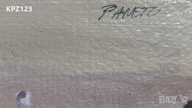 КАРТИНА МАСЛЕНИ БОИ 82 год. /проф. П.ПАНАЙОТОВ-ПАНЕТО, снимка 5 - Картини - 29093789