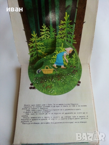 Панорамна детска книжка "Маша и Мечокът", снимка 3 - Детски книжки - 44717880
