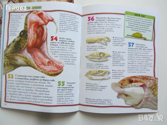 Детска енциклопедия - 100 интересни неща -"Пирати" "Смъртоностните животни", снимка 8 - Детски книжки - 48433395