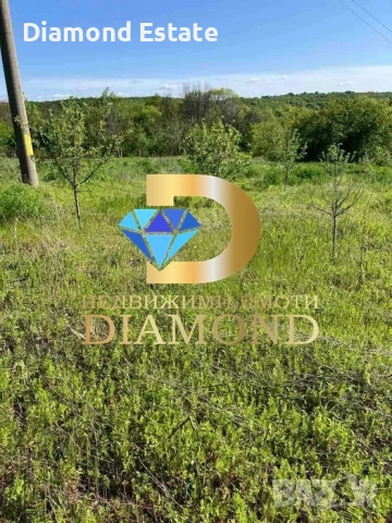 Парцел в село Стамболийски, обл. Хасково, снимка 8 - Парцели - 51218536