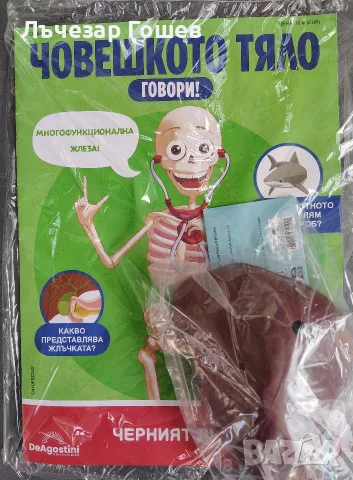 Човешкото тяло говори брой 29 -42 брой., снимка 10 - Колекции - 52217108