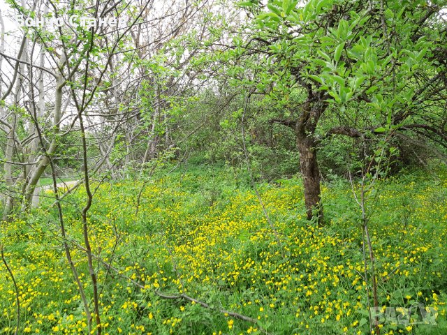 Продавам къща с парцел, снимка 9 - Парцели - 26810812