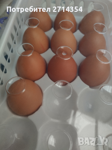 Продавам панер за яйца, снимка 2 - Аксесоари за кухня - 36503349