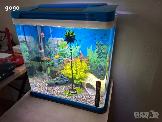 Аквариуми 4 броя, снимка 8 - Аквариуми - 54361578