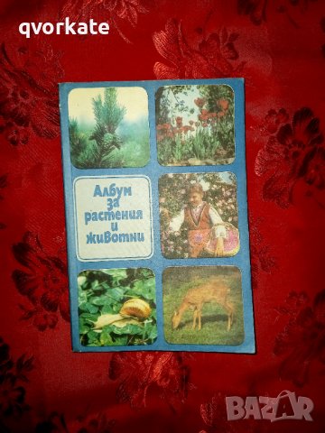 Албум за растения и животни - Николай Боев, снимка 1 - Енциклопедии, справочници - 38192794