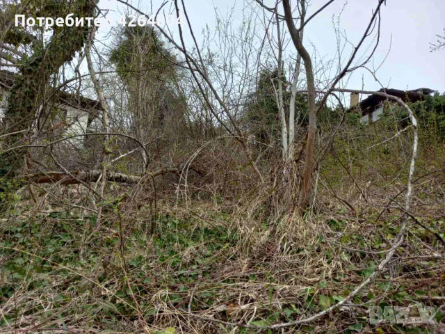 Почистване на дворове