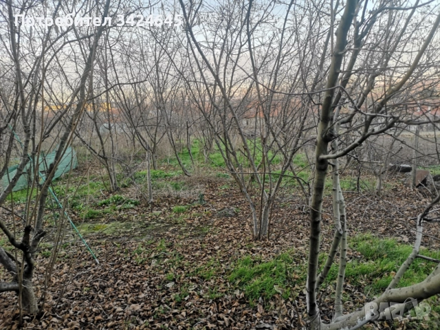 Продавам къща близо до Хасково. ДОГОВОРЕНА!, снимка 15 - Къщи - 52973030