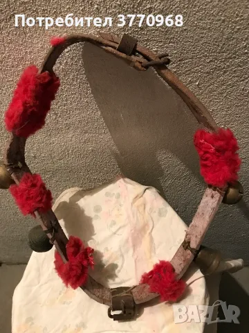 аксесоар за домашни животни