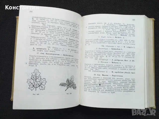 Екскурзионна флора на България , снимка 3 - Специализирана литература - 50051042