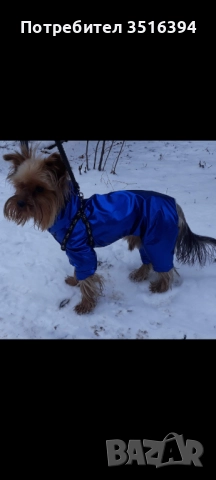 Дрехи за малки кучета, снимка 7 - За кучета - 52323853