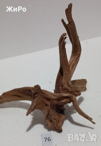 Корен от Азалия /декорация/ 76, снимка 4 - Други - 54102598