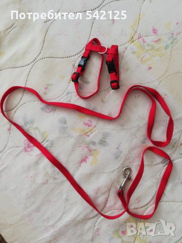 Повод и очилаа за котка или малко куче