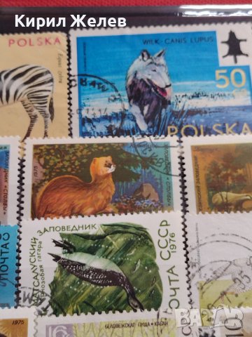 Лот Пощенски марки смесени серий ЖИВОТНИ от цял свят за КОЛЕКЦИЯ 22629, снимка 3 - Филателия - 40364741