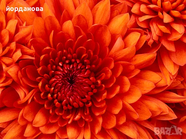 За  ВТУ разработени  теми за държавен изпит ПНУП