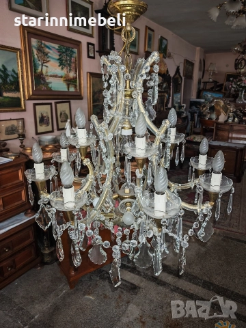 Два изключителни полилея 