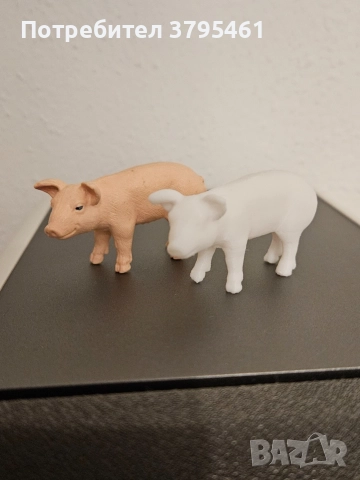 Прасенца-да се помни в каква държава сме живяли, снимка 7 - Други - 52663572