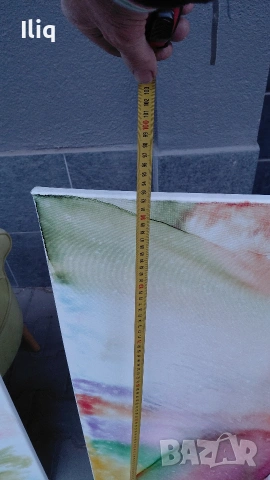 картини 2бр. , снимка 5 - Други стоки за дома - 53918657