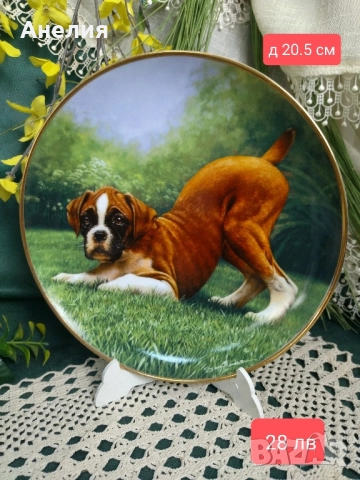 Колекционерски чинии Боксер, снимка 2 - Декорация за дома - 51883321