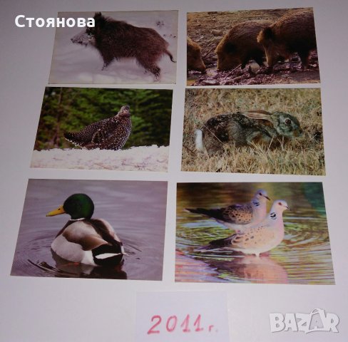 Стари календарчета от 1987г., 2011 г., 2013 г. и 2015 г. с животни, птици и риби, снимка 5 - Колекции - 31731702