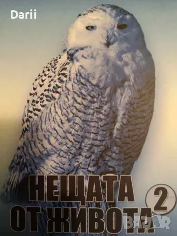 Нещата от живота. Книга 2, снимка 1