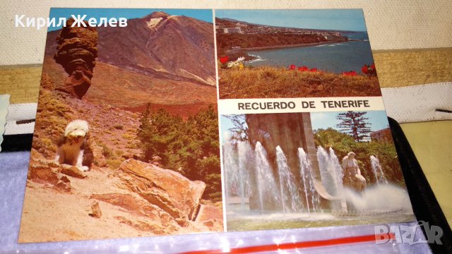 ЛОТ 4 СТАРИ ПОЩЕНСКИ КАРТИЧКИ ТЕМА МАРСИЛИЯ ДРЕЗДЕН ТЕНЕРИФЕ КУРОРТИ ПРИРОДА ГРАДОВЕ 33438, снимка 5 - Филателия - 38810998