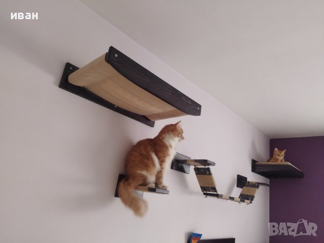 Котешка стена за игра и релакс , снимка 9 - За котки - 42215307