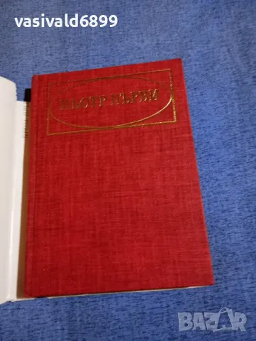 Павленко - Пьотр Първи , снимка 4 - Художествена литература - 50327719
