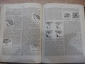 Книга "Ветерин.энциклоп.словарь-том2-К.И.Скрябин" - 696 стр., снимка 5