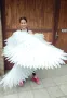 Ангелски крила за фотосесия декорация парти, снимка 2