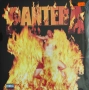 Vinyl (Pantera - Reinventing The Steel), снимка 1